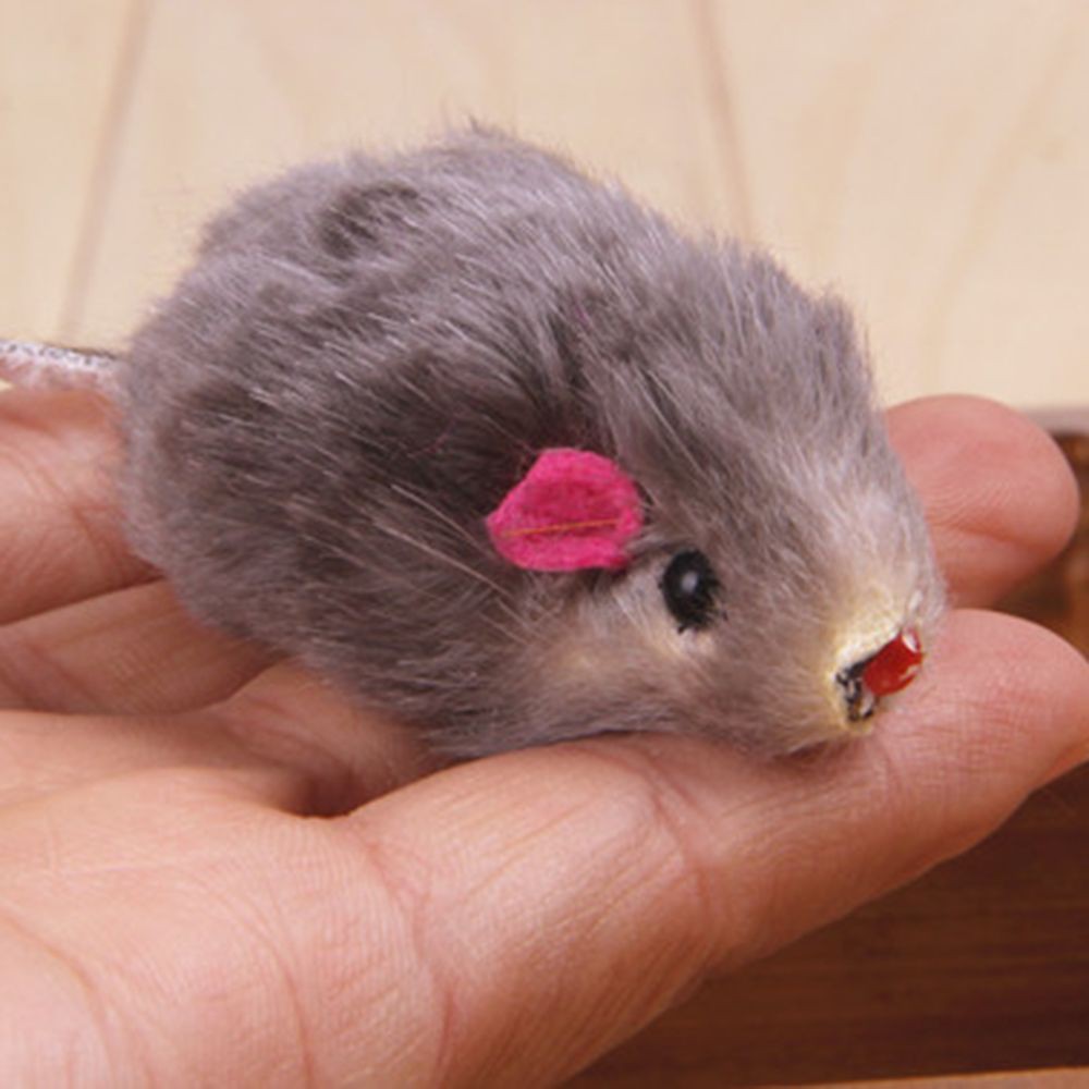 Set 5 chuột giả đồ chơi cho thú cưng