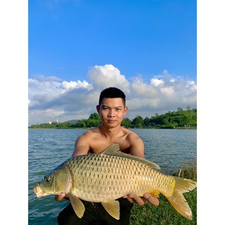 Mồi câu LK Hòa