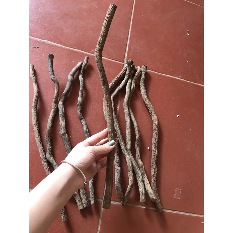 Cầu thuốc 😍