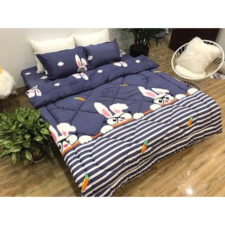 [GIÁ HỦY DIỆT] SÉT COMBO ĐỦ 5 MÓN CHĂN PHAO SIÊU NHẸ SIÊU ẤM MẪU THỎ ĐEO KÍNH [Loại Bông Dày]