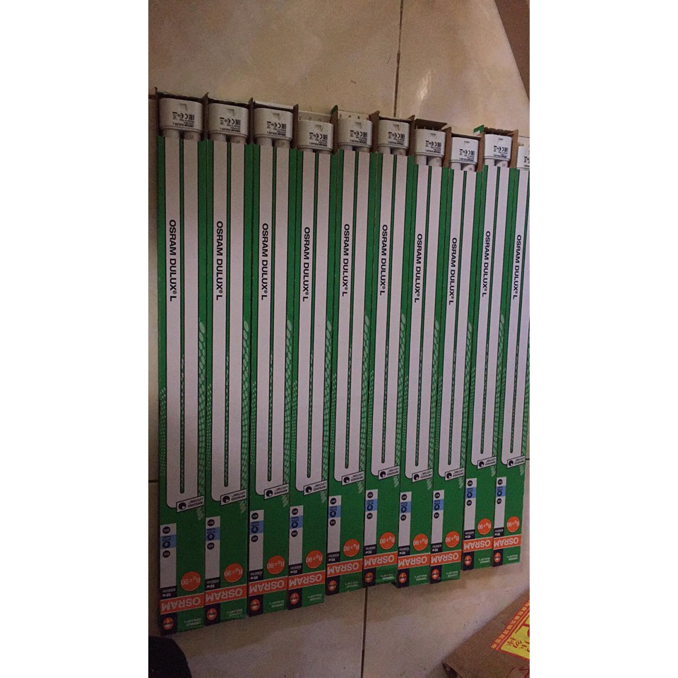 Bóng đèn tanning cá rồng OSRAM PL 954 - 55W