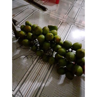 15quả cau 30 lá trầu