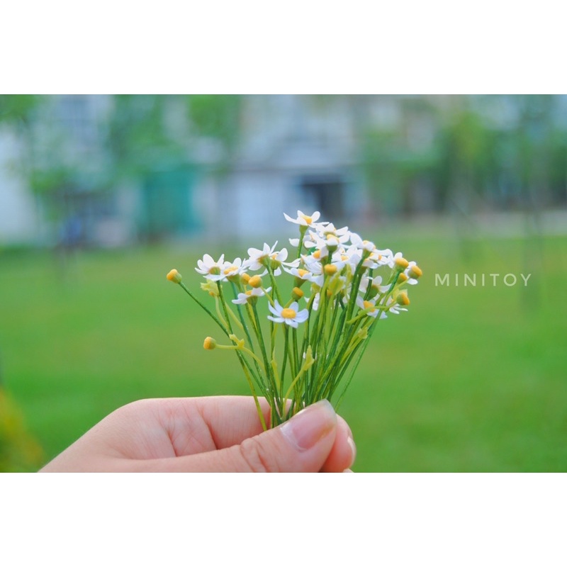 Hoa daisy thu nhỏ bằng đất sét