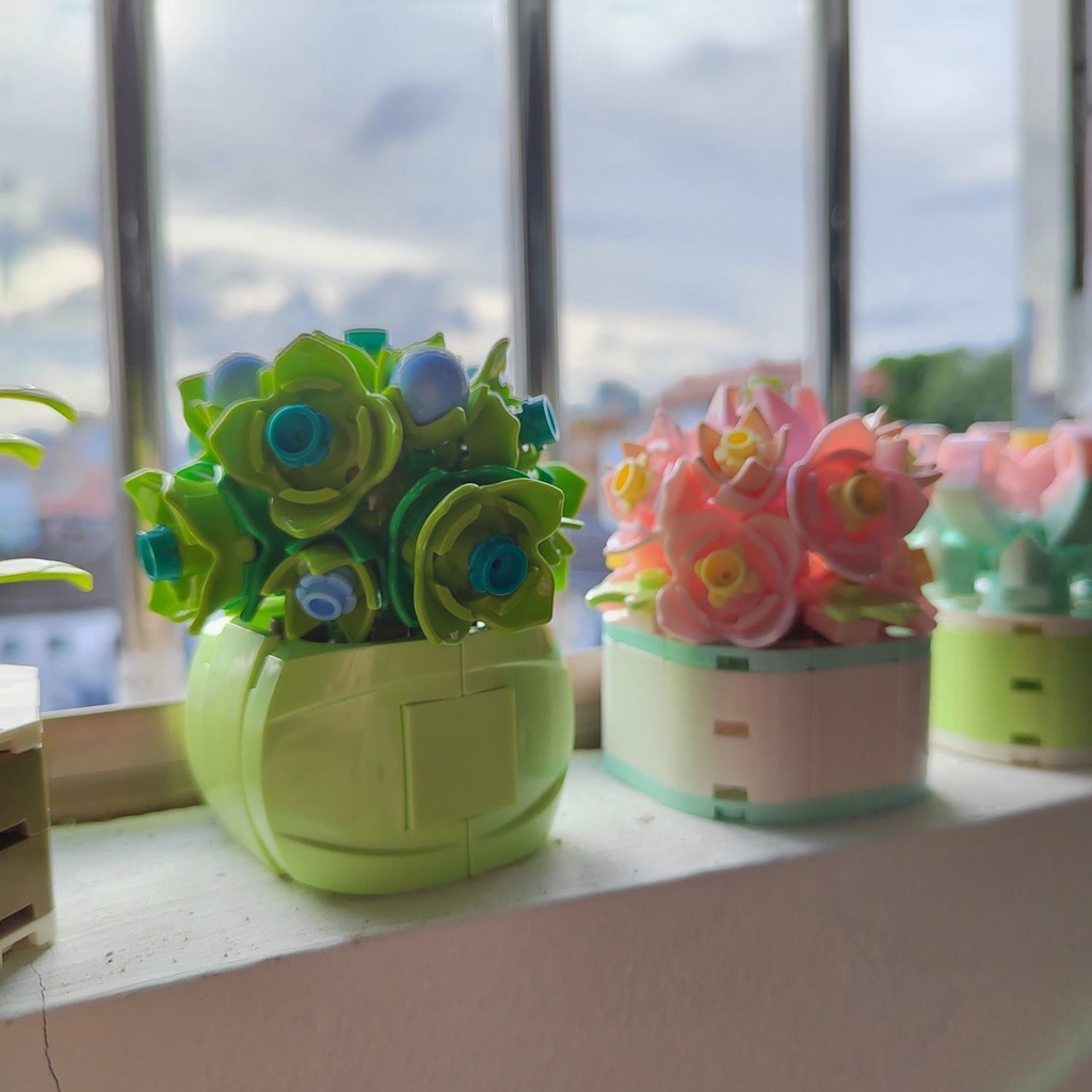 Đồ chơi giáo dục Lắp Ráp mô hình hoa cây mọng nước Dk 3013-3020 Simulation Succulent Flower Botanical