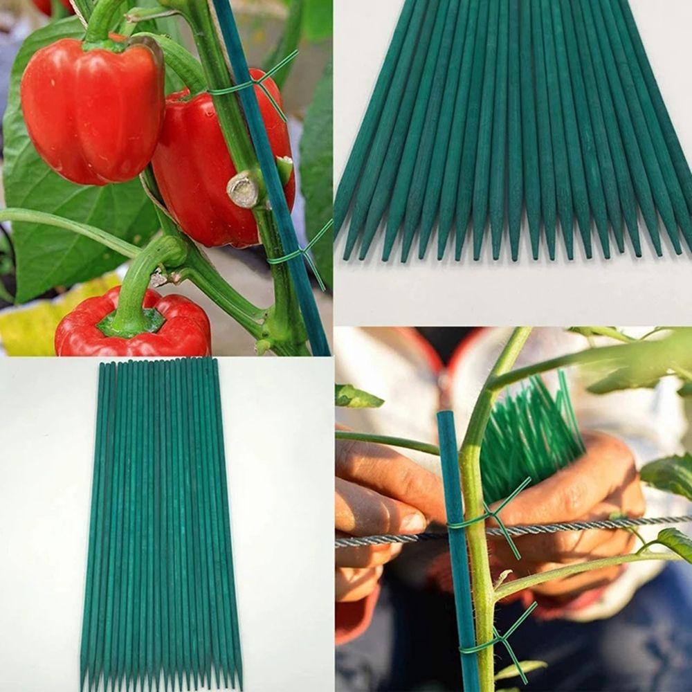 Bộ 10/30 Thanh Tre Dùng Để Trồng Cây Trang Trí Nhà|Giá Cố Định Cây Hoa Chất Lượng Cao
