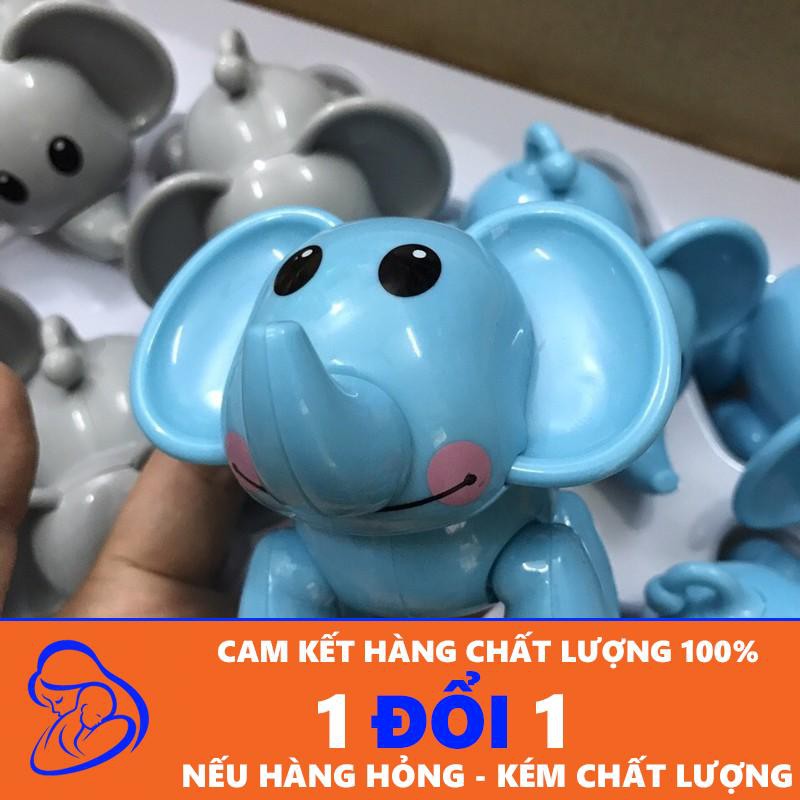 Voi con vặn vẹo xinh xắn