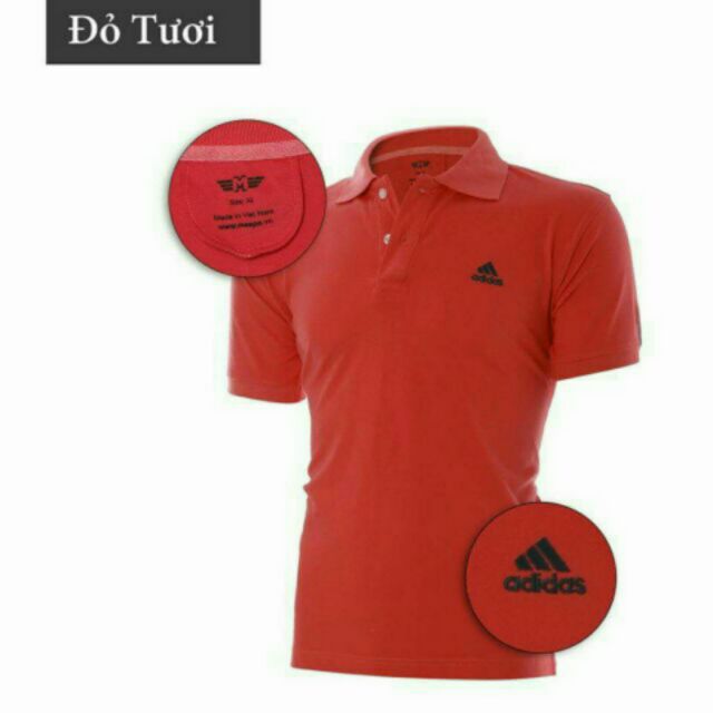 [❤️Sale sốc 75k khi mua từ 5 áo ] Aó thun cá sấu nam cổ bẻ ( ib chọn màu size) | BigBuy360 - bigbuy360.vn