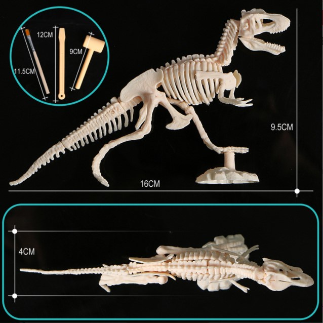 Đồ chơi khảo cổ-sưu tầm hóa thạch khủng long T-rex  - MGT