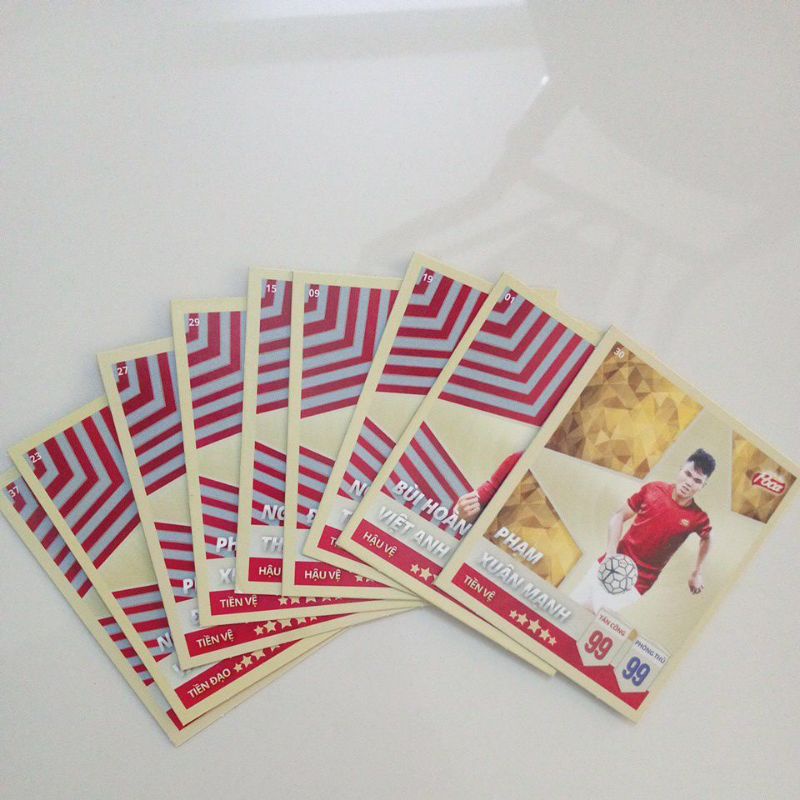thẻ poca Việt Nam
