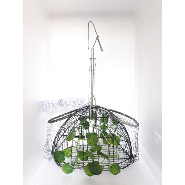 Lồng bẫy chim chào mào thái