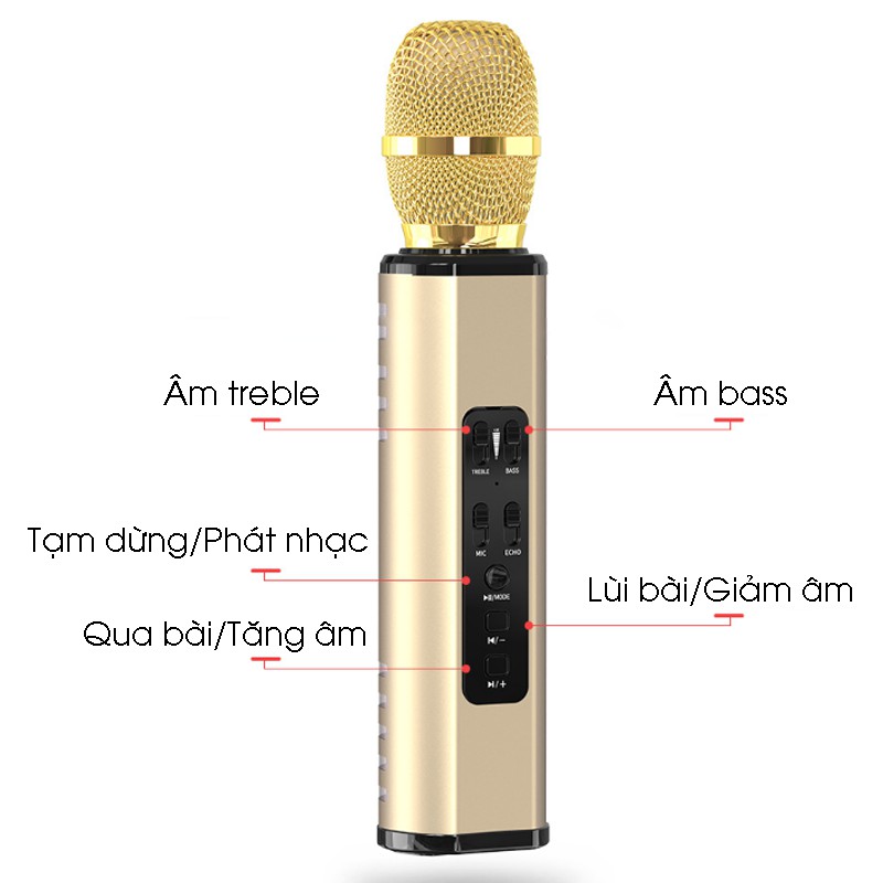 Micro Karaoke Bluetooth PKCB204 Hát Cực Hay, Nghe Nhạc Âm Thanh Sống Động - Hàng Chính Hãng