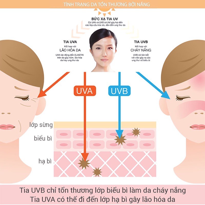 KEM CHỐNG NẮNG VACCI MẶT & TOÀN THÂN - LUXE COLLECTION SUN CREAM SPF70 PA++