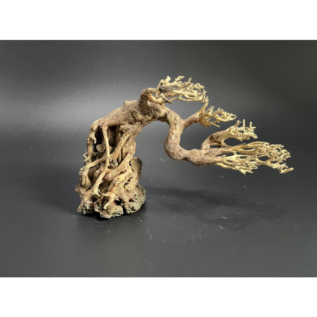Lũa Bonsai, Lũa thủy sinh dùng trang trí hồ cá cảnh, hồ thủy sinh, văn phòng, nhà cửa