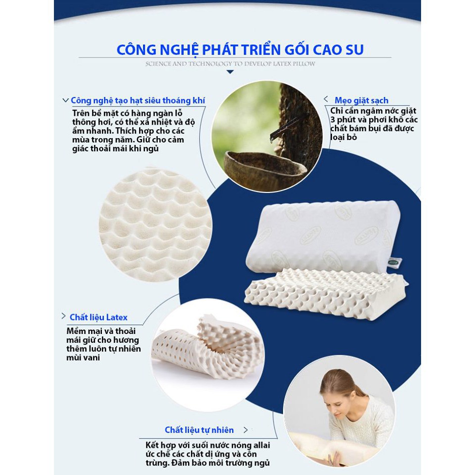 Gối cao su non Ventry cao cấp nhập khẩu Thái Lan