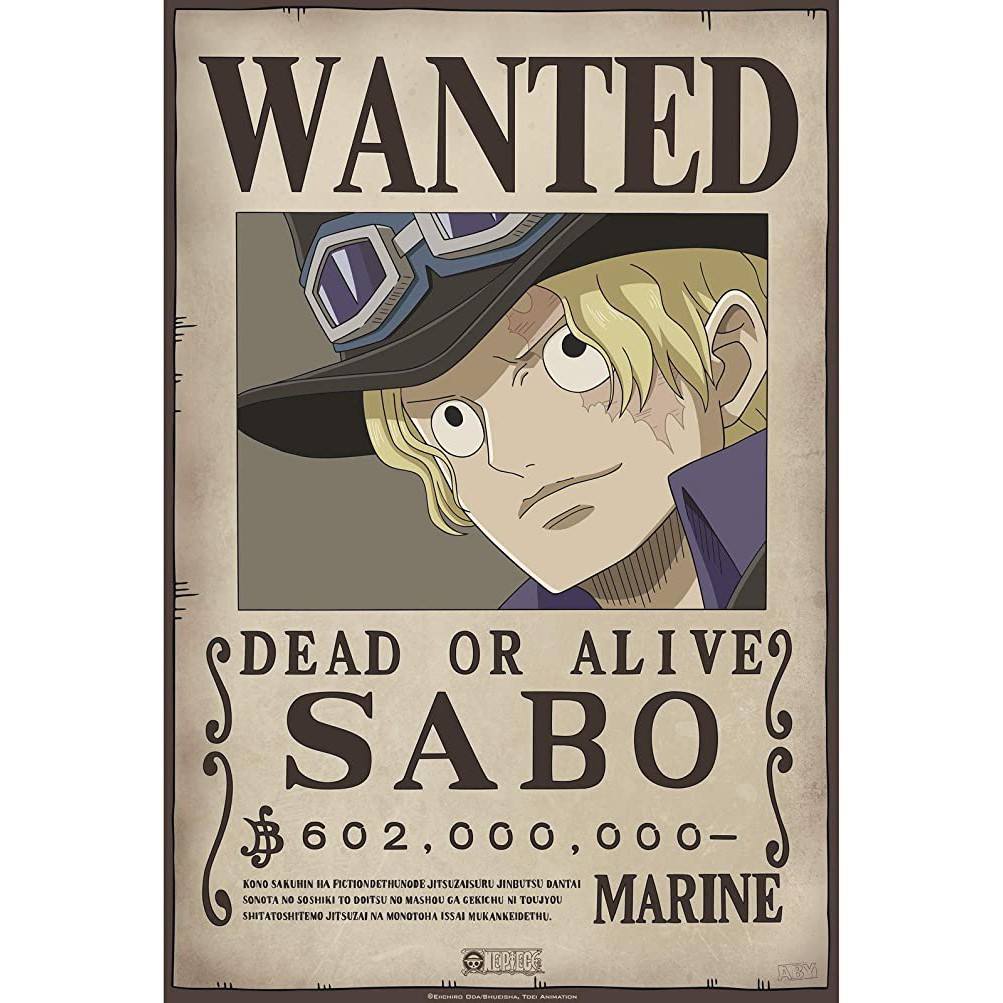 Tấm truy nã các nhân vật khác trong onepiece wanted poster