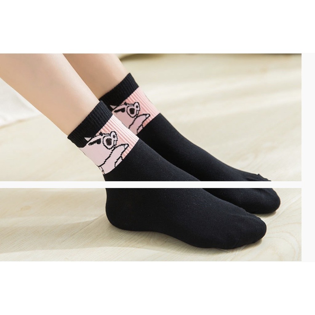 Set 5 đôi tất đen cổ cao họa tiết Shin unisex TN129