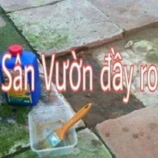 BỘT DIỆT RONG RÊU, NẤM MỐC