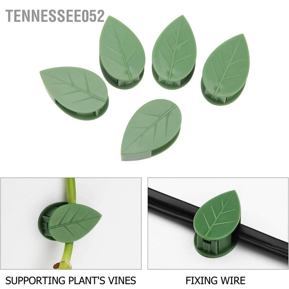 Tennessee052 100PCS Thực vật Leo tường Cố định Kẹp Tường Dây leo Clip Tự dính Móc treo Lực kéo