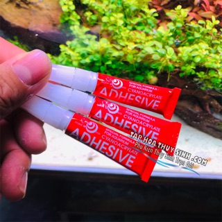 KEO DÁN RÊU ĐA NĂNG mẫu 2019 5gram
