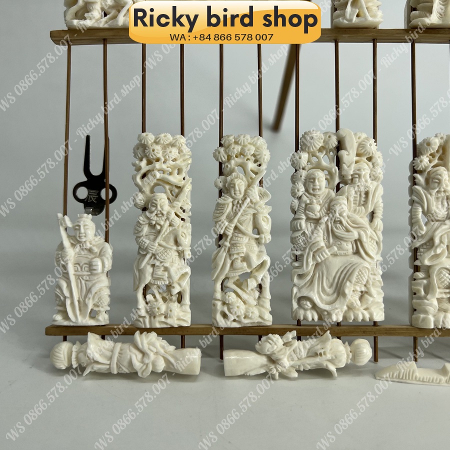 Bone set for Puteh bird cage - Samkok design - Phụ kiện chim Ricky bird shop