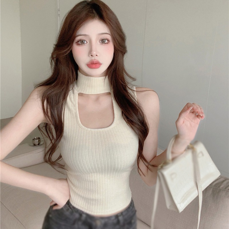 Áo Croptop Dệt Kim Sát Nách Cổ Lọ Màu Sắc Đơn Giản Nhẹ Nhàng Cho Nữ