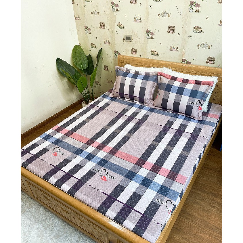 Bộ ga chun trần cotton kèm vỏ gối (1.8*2m)