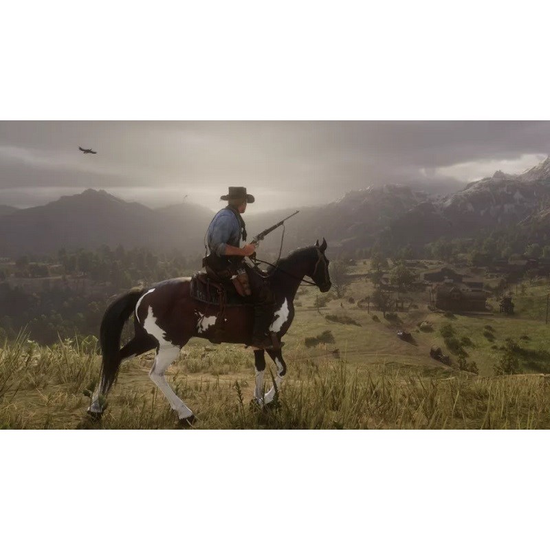 Đĩa game PS4 Red Dead Redemption 2 dành cho máy PS4 / PS5