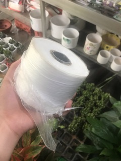 Giấy (nilon) ghép cây