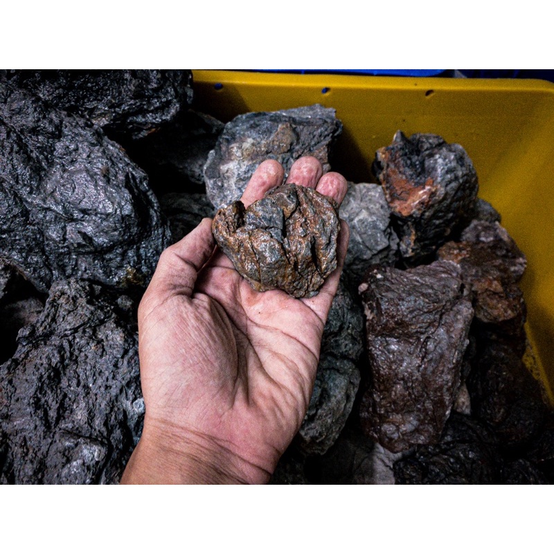 Đá Frodo Siêu Vân | Trang trí Setup Bể Thủy Sinh, Biotope,... | Mua Nhiều Giảm Giá.