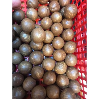 Macca Tây Nguyên -500g