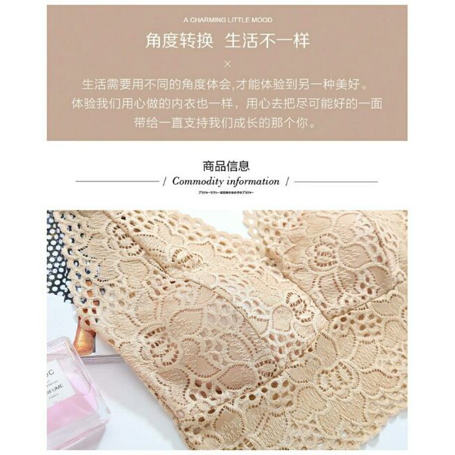 Áo lót ren cao cấp