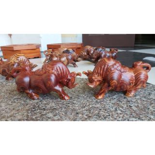 Cặp bò tót
