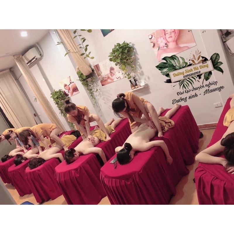 Ga/Drap vải thun giường gội đầu, giường 2in1 cho spa, gội đầu dưỡng sinh