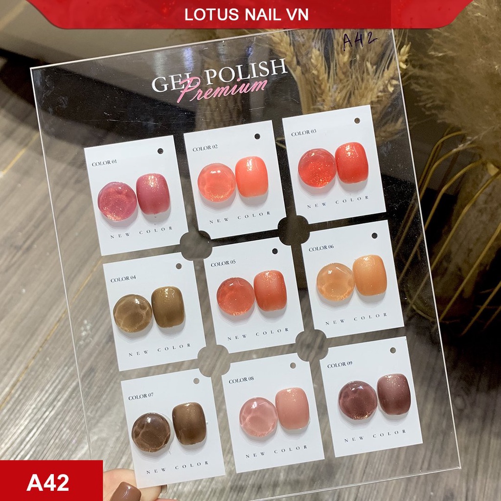 Set sơn gel thạch nhũ 9 màu cao cấp Vendeeni mã A42 tặng kèm bảng màu