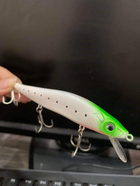 Cá Minnow Sanchem