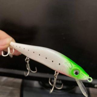 Cá Minnow Sanchem