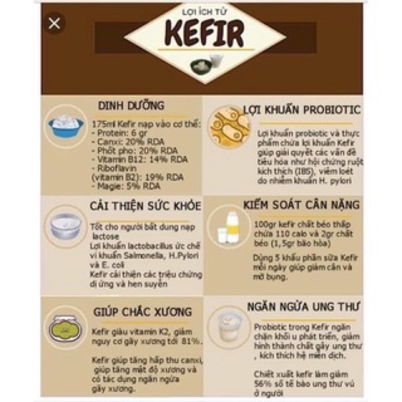 Nấm Kefir Làm Sữa Chua / Nấm Tuyết Tây Tạng và Dụng Cụ Làm Sữa Chua tại nhà