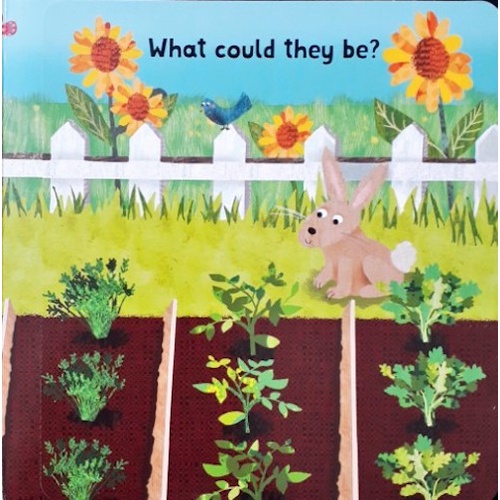 Sách - Anh: Kew, Lift and Look Fruit and Vegetables