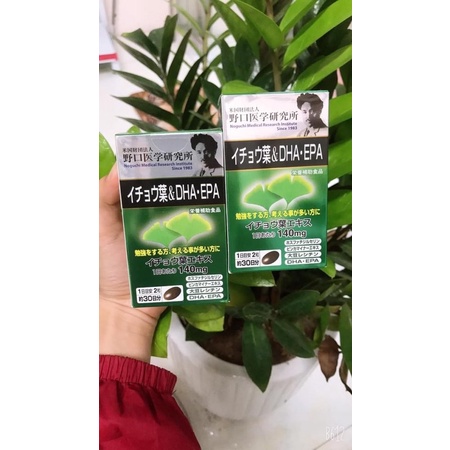 VIÊN UỐNG BỔ NÃO GINKO NOGUCHI DHA EPA 60 VIÊN
