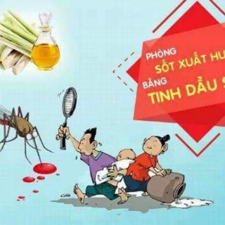 Tinh dầu sả java