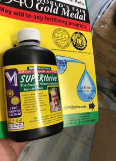 Dinh dưỡng cao cấp cho hoa lan SUPER thrive
