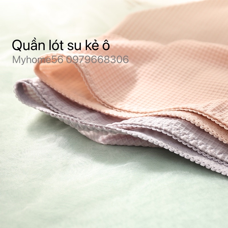10 quần lót su co giãn 4 chiều cao cấp 2290