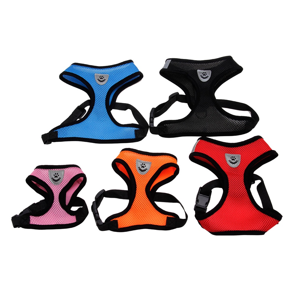 Dây Dắt Thú Cưng Đi Dạo Bằng Lưới Thời Trang