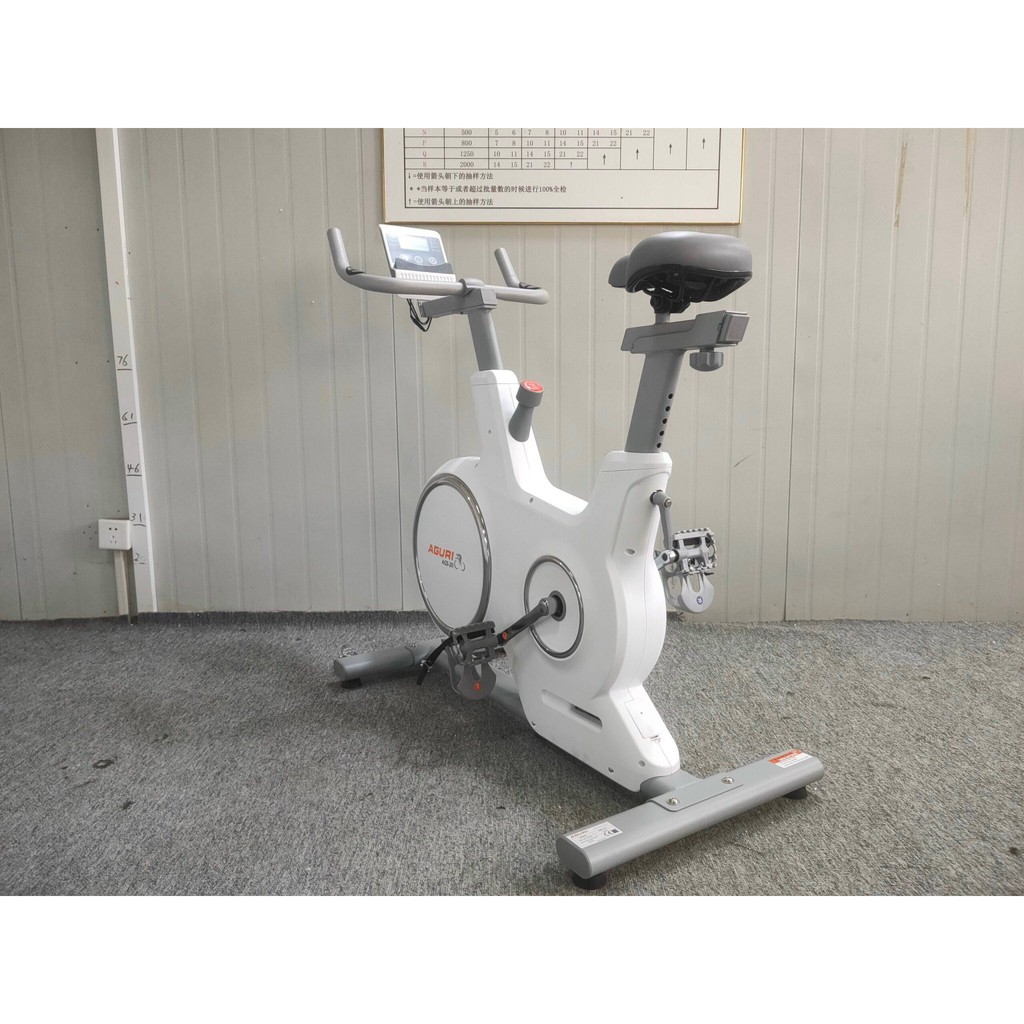 Xe Đạp Tập Thể Dục Tập Gym  AGS-211 Nhập Khẩu Cao Cấp Đại Nam Sport + Tặng Kèm Máy Rung Massage