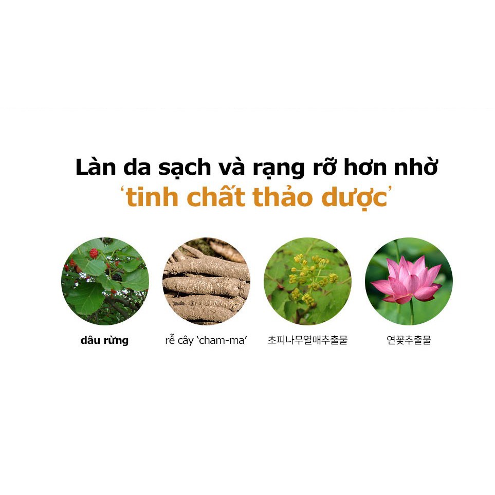 Mặt na sâm Dược Mỹ Phẩm Hàn Quốc SNP -  SNP Red Ginseng Essence Mask