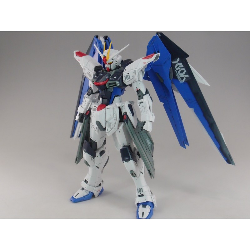 Mô Hình Gundam MG Freedom Gundam Ver 2.0 Tỉ Lệ 1/100, Chính Hãng Bandai - Nhật Bản