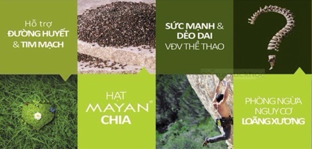 Hạt Chia đen Absolute Organic Úc Chính Hãng 1kg