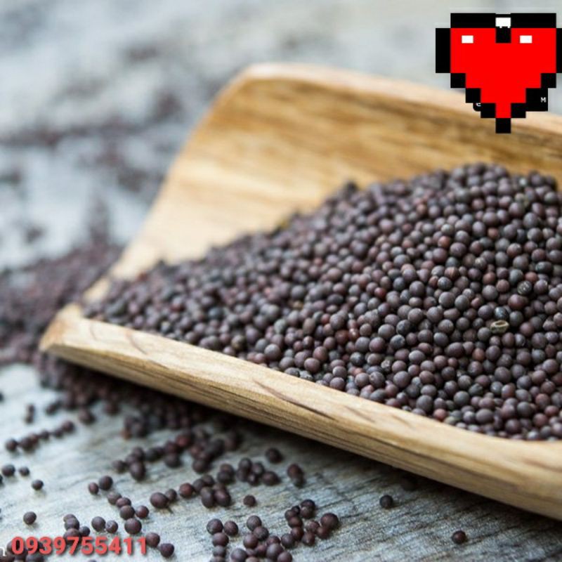 1KG HẠT CẢI DẦU CHO VẸT, FINCH, CHIM CẢNH