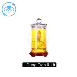 Bình Ngâm Thủy Tinh 6 Lít Dáng Trụ Thân Trơn – TT6L