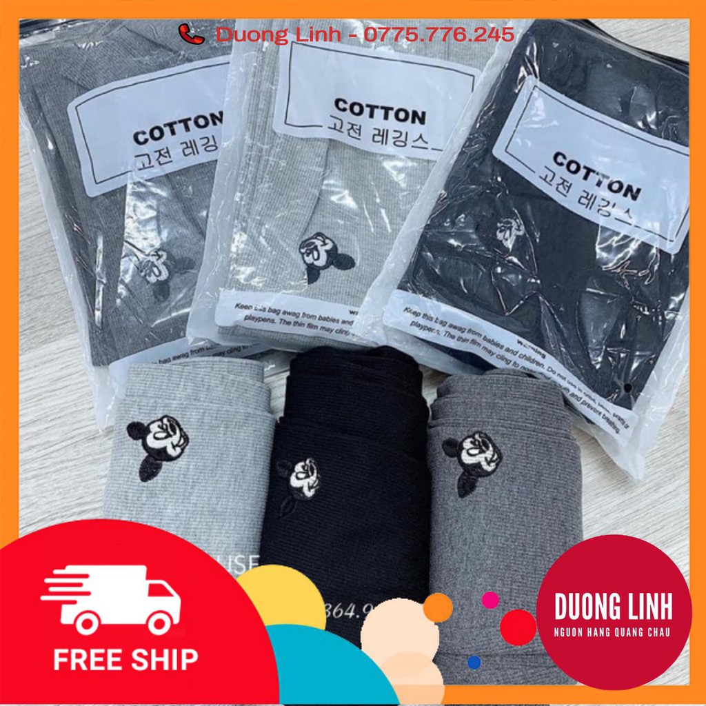 Quần legging mèo 3 màu dành cho nữ